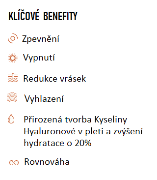 hyaluron maska CZ_3